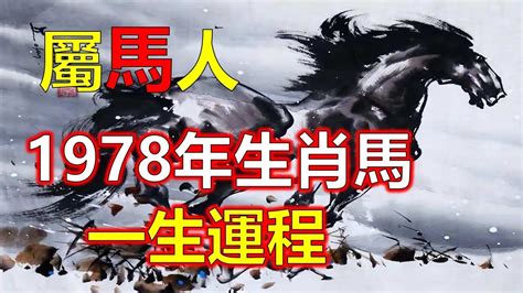 1978年屬什麼|【1978年屬什麼生肖】屬馬的一生：揭秘1978年屬馬的命運玄。